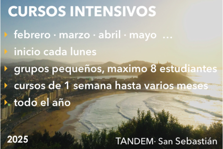 Español y Surf en la Zurriola