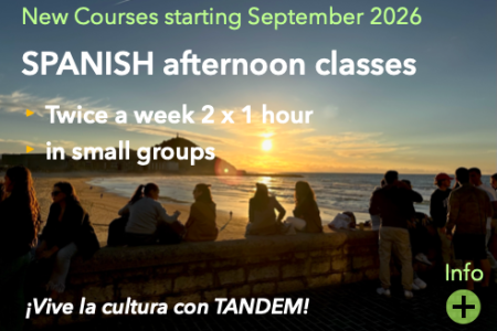 TANDEM Afternoon Courses for those who live in San Sebastián Donostia